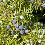 冬のバスタイムに・・♪