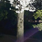 素敵な一日になりますように