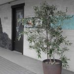 お店の入り口♪