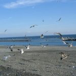 今年もよろしくお願いします