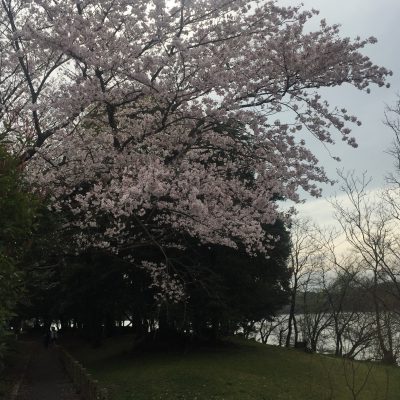 3ヶ月経つと・・・