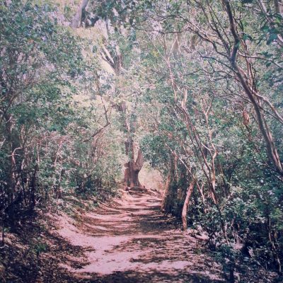 わくわくします☆