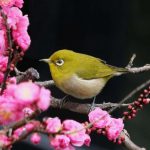 いつもと違う発見