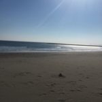 2017年も宜しくお願い致します!