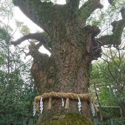 パワーチャージ!