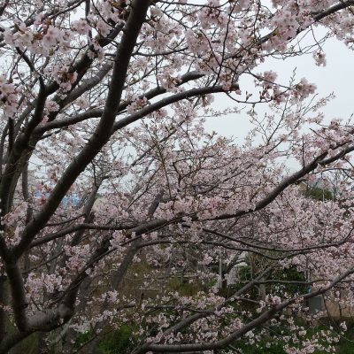 季節を感じる(*^^*)