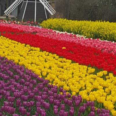 春のおでかけ♪