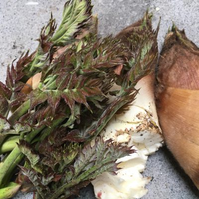 春の美肌注意報