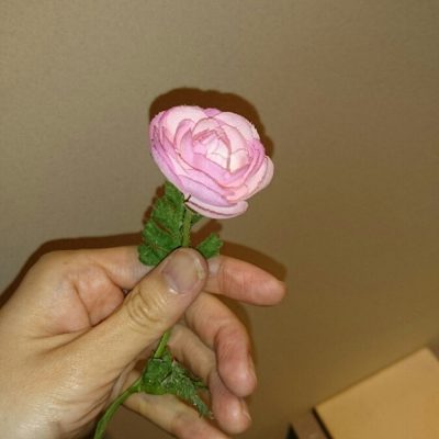 気持ちも緩むお手入れ