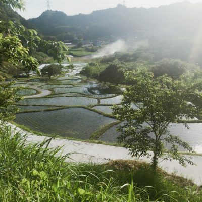 棚田！