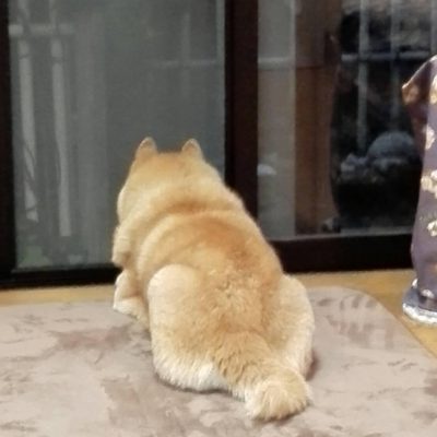 心×身体  お身体のお手入れ