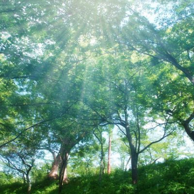 今年も、うっかりUVケア!?