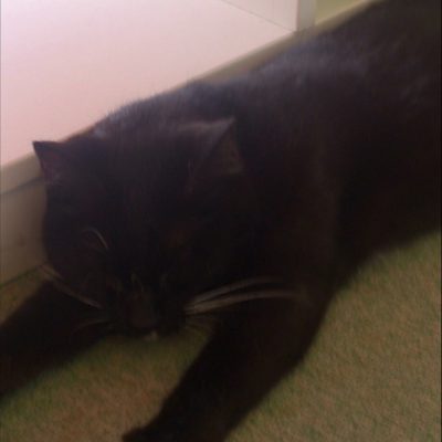 ストレッチでだるさ解消