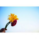 ステキな贈り物:Part2