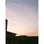 赤ちゃんにも癒しの時間