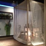 あの時LAGEに出会ってなかったら