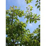 本格的な薄着になる前に…