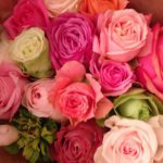 こころ新たに・・・