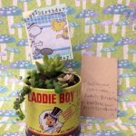 愛でる・育てる