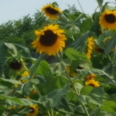 これからの自分