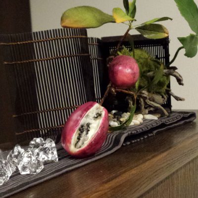 季節を感じる・・・(*‘ω‘ *)