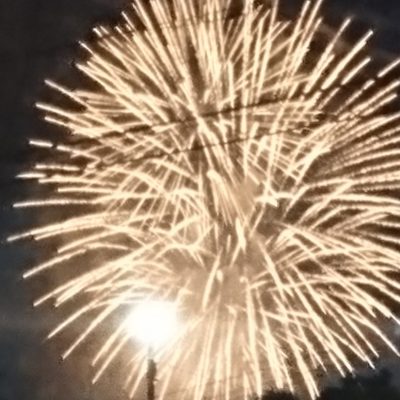 夏の風物詩☆彡