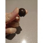 ときめきホルモン