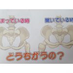 やっぱり骨盤
