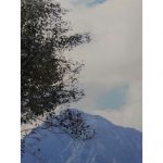 長いおやすみには