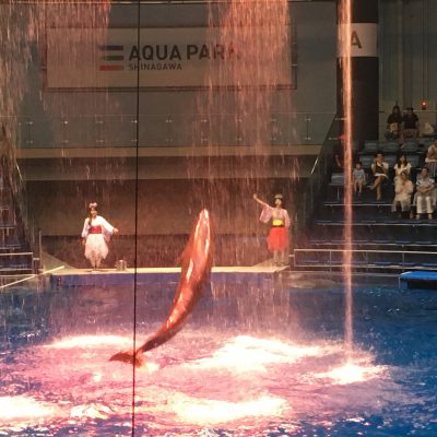 海の生物に癒されて