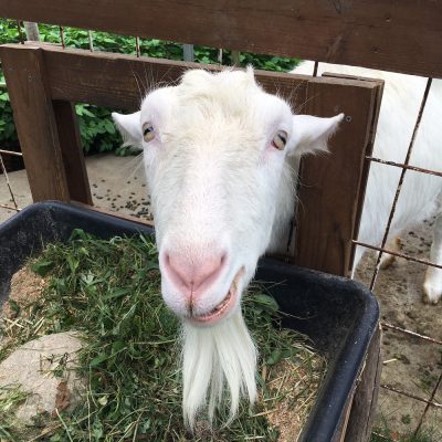 幸せな時間(*´ω`*)