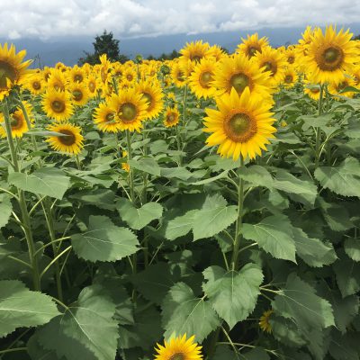 大好きな場所♪