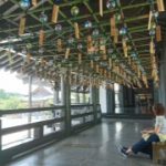 日本の癒し、涼と食から考える