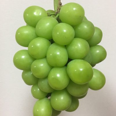 ビタミン摂取☆