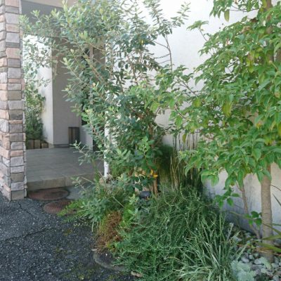 癒されたい方にも