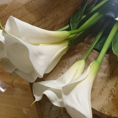 健康寿命・美容寿命