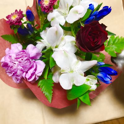 ありがとうの花♪