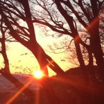 今年の美はLAGEにお任せ