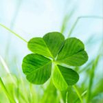 幸せはそこにあるもの