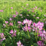 足を整えましょう