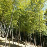 ”一日という時間”