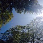 紫外線から肌を守る