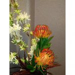 イライラは解消したいですね