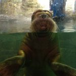 お出掛けのススメ