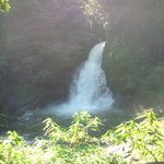 空間は癒しの源