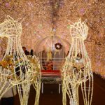 イルミネーション☆.。.:*・゜