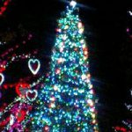 クリスマスはどうでしたか？♪　①