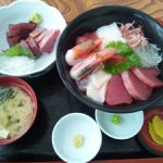 生物から酵素GET