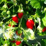 季節を感じるイベント