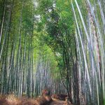 リラックス方法